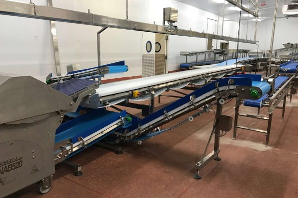 Factory conveyor belts